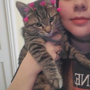 Meet your Posher, Sofia